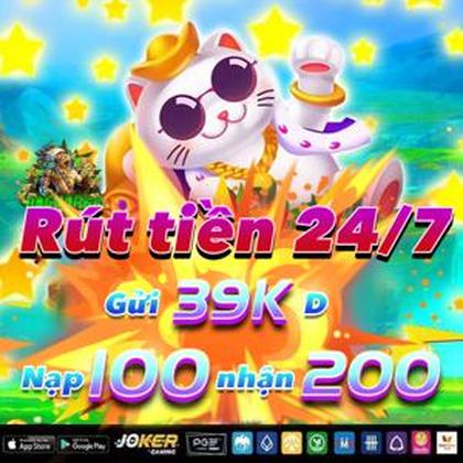 XXDBET