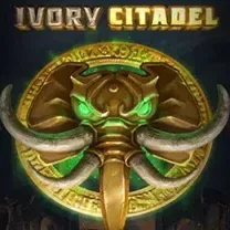 XXDBET